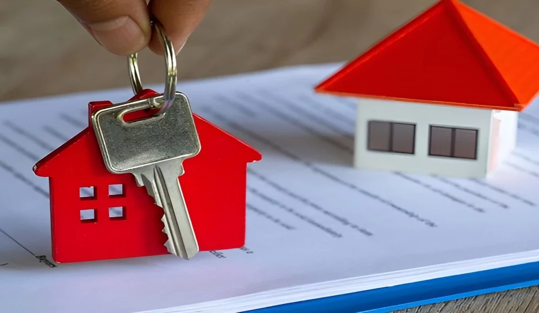 Diferenças entre ação reivindicatória e usucapião: guia completo